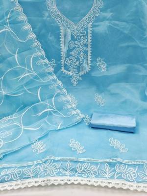 sky blue embroidered organza dress material 2