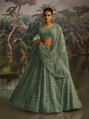 Elegant Sage Green Net Lehenga with Swarovski and Thread Embroidery 2