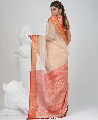 Elegant beige and red resham saree with zari border 3