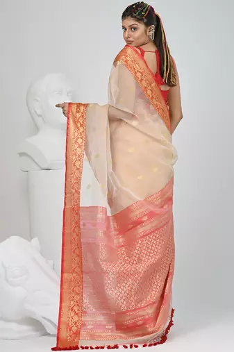 Elegant beige and red resham saree with zari border
