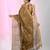 Metallic tissue saree with ethnic motifs and golden border