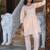 Orange embroidered cotton lurex tunic with pants - set of 2