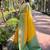 yellow weaving jari designer art silk saree with blouse piece