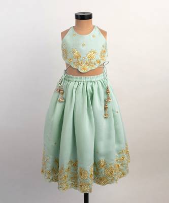 Blue embroidered silk lehenga 1