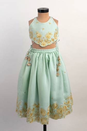 Blue embroidered silk lehenga