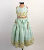 Blue embroidered silk lehenga