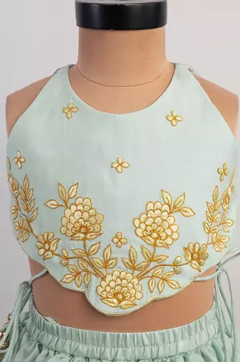 Blue embroidered silk lehenga