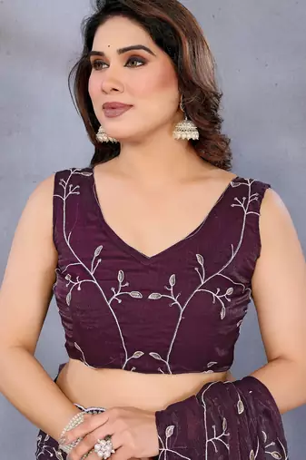 Luxury Wine Color Jimmy Chu Saree with Beautiful Embroidery Detailing