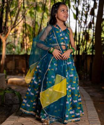 Blue printed chanderi lehenga set 3