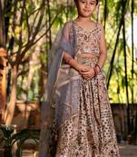 Brown printed chanderi lehenga set