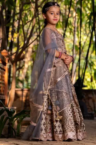 Brown printed chanderi lehenga set