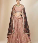 Pink zari Embroidered Lehenga Set
