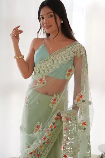 Pista butterfly net thread embroidery work ceremonial saree