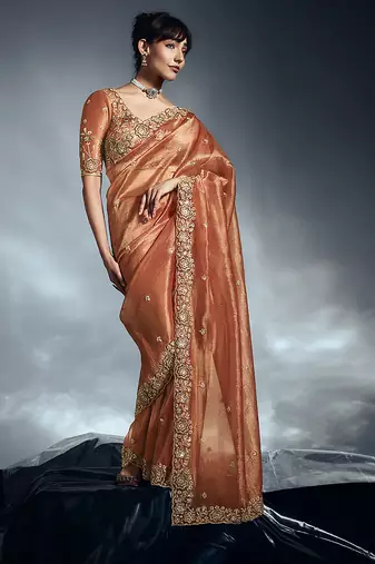 Orange tissue organza saree with moti, cutdana & sequins work