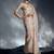 Ivory tissue organza saree with moti, cutdana & sequin work