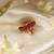 Gold plated red stone temple ring