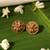 Gold plated temple stud earrings