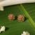 Gold plated temple stud earrings
