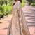 grey weaving meenakari jaal designer organza saree with blouse piece