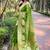 green Woven rainbow jari designer organza saree with blouse piece