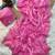 designer pink space silk diamond work saree for women festival wear