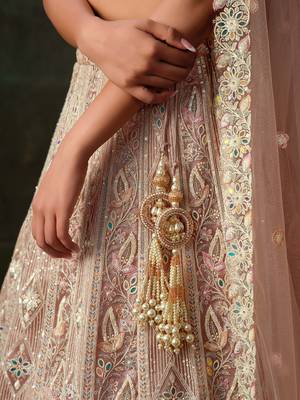 Baby Pink Net Silk Bridal Lehenga with Heavy Embroidery & Blouse 3