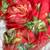 latest party wear red tabby silk floral printed hand work saree for women