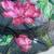 ombre pattern grey floral printed saree in tabby silk fabric
