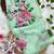 new summer special mint green georgette floral printed saree