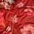 beautiful red georgette based floral printed saree for women