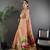 Coral pink heavy tissue mina butti zari weaving paithani saree