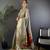 Grey heavy tissue mina butti zari weaving paithani saree