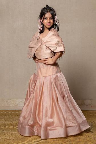 Beige Embroidered Organza Lehenga