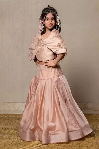 Beige Embroidered Organza Lehenga
