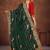 Green color embroidered rimzhim patta saree with banglori silk blouse