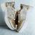 Golden solid synthetic sneakers