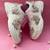 Pink solid synthetic sneakers