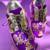 Purple solid synthetic sneakers