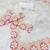 Red Color With Intricate Multithread Embroidery And Floral Butta White Organza Saree