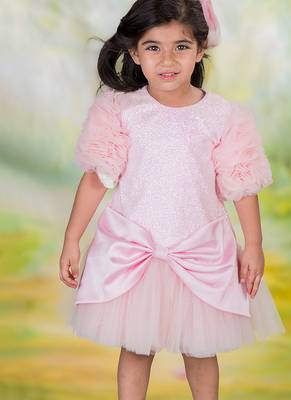 Pink embroidered net Dress 1