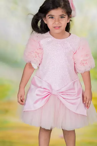 Pink embroidered net Dress