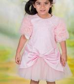 Pink embroidered net Dress