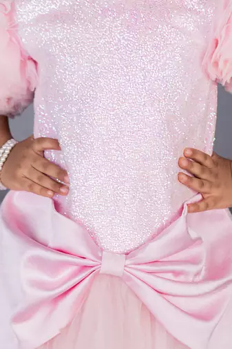 Pink embroidered net Dress