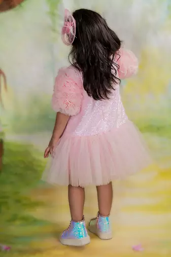 Pink embroidered net Dress