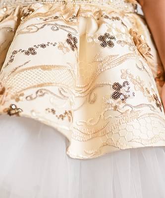 Beige embroidered net dress 2