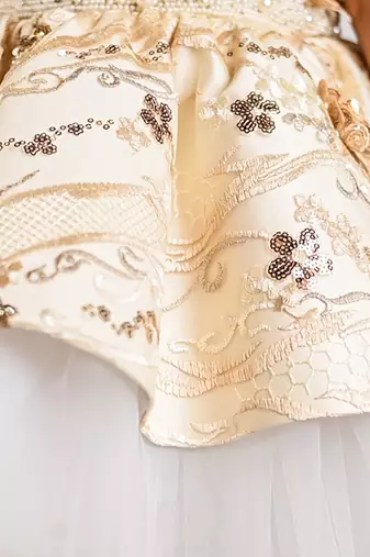 Beige embroidered net dress