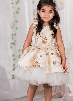 Beige embroidered net dress 1