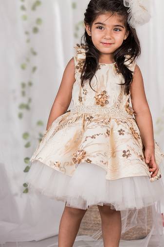 Beige embroidered net dress