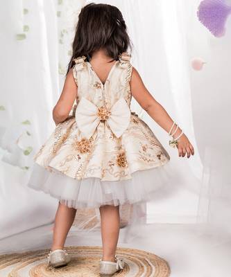 Beige embroidered net dress 3