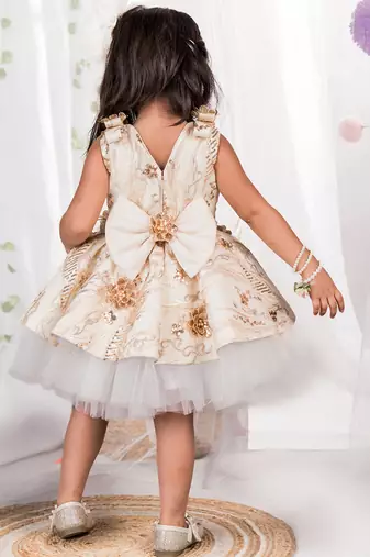 Beige embroidered net dress